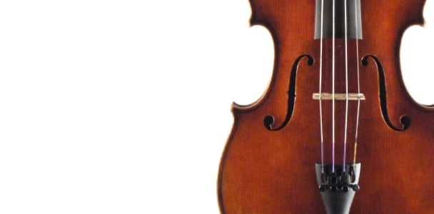 Viola